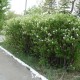 Город Троицк Челябинской области