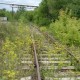 Город Троицк Челябинской области