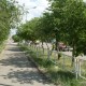 Город Троицк Челябинской области