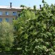 Город Троицк Челябинской области