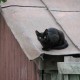 Город Троицк Челябинской области