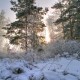 Город Троицк Челябинской области