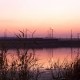Город Троицк Челябинской области