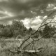 Город Троицк Челябинской области