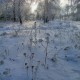 Город Троицк Челябинской области