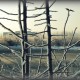 Город Троицк Челябинской области