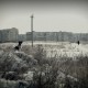 Город Троицк Челябинской области